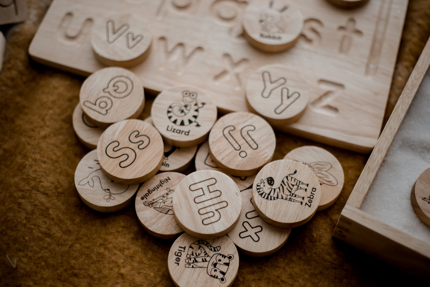 Animal Alphabet Set