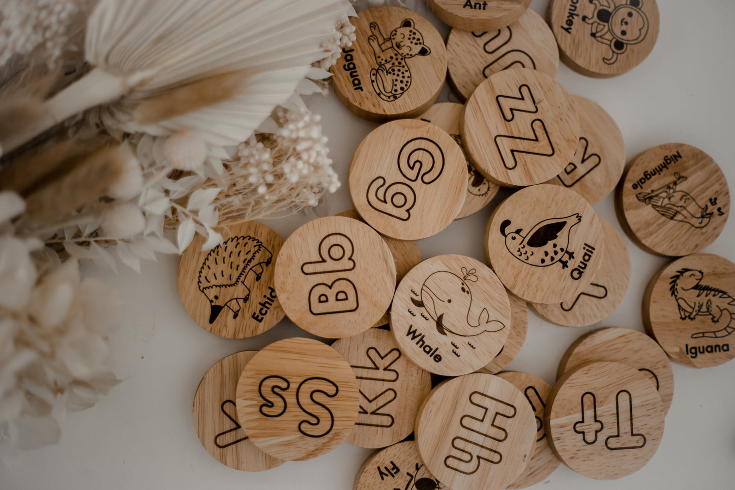 Animal Alphabet Set