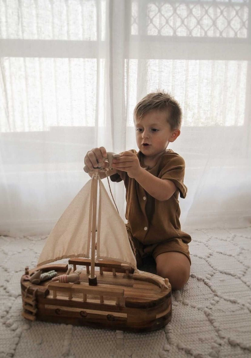 Timber Explorer Ship