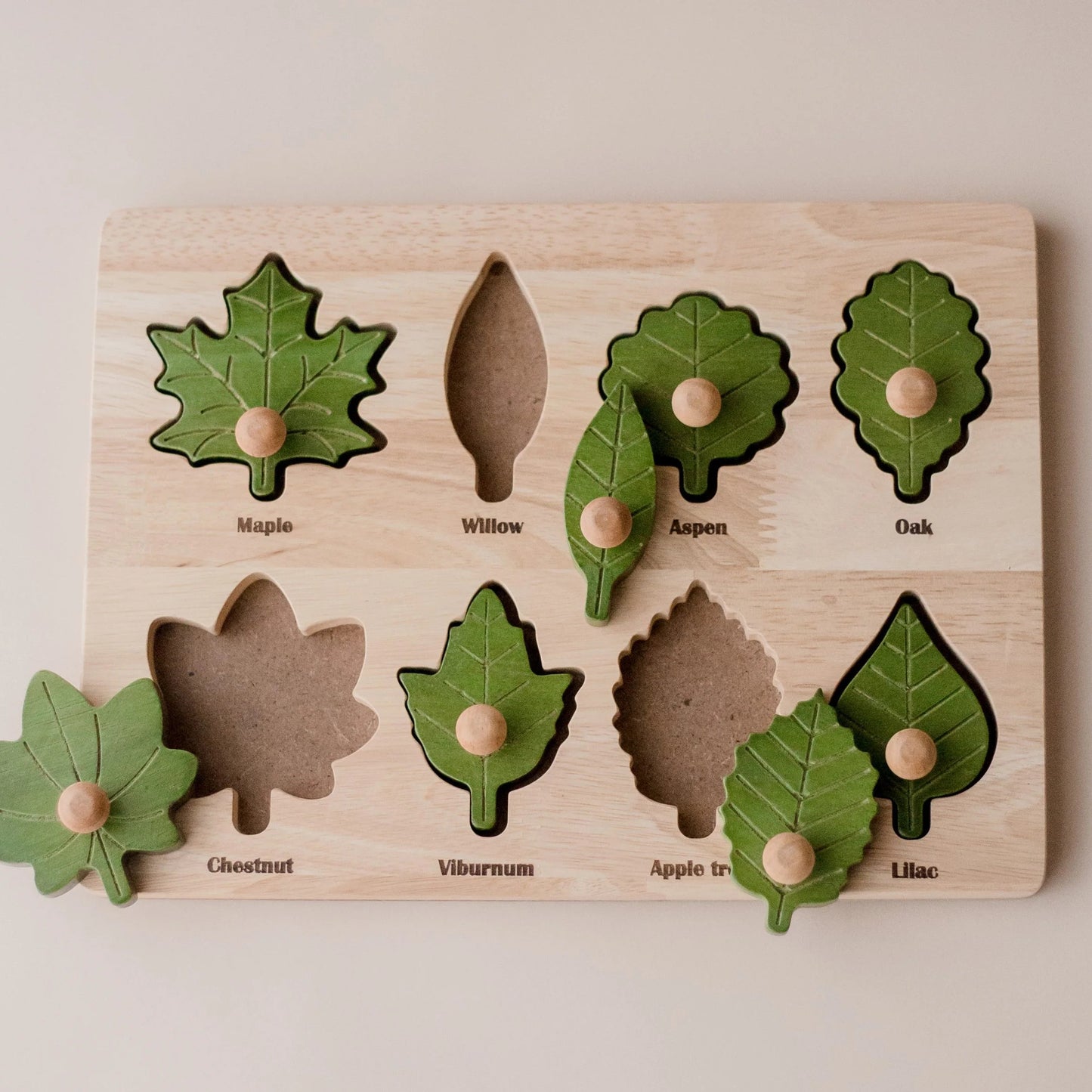 Montessori Leaf Puzzle