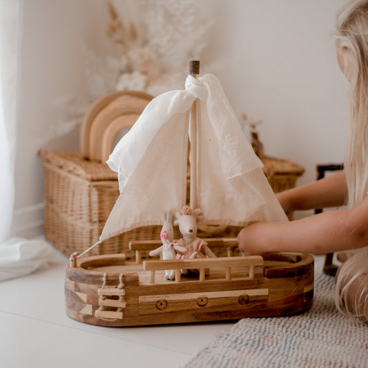 Timber Explorer Ship