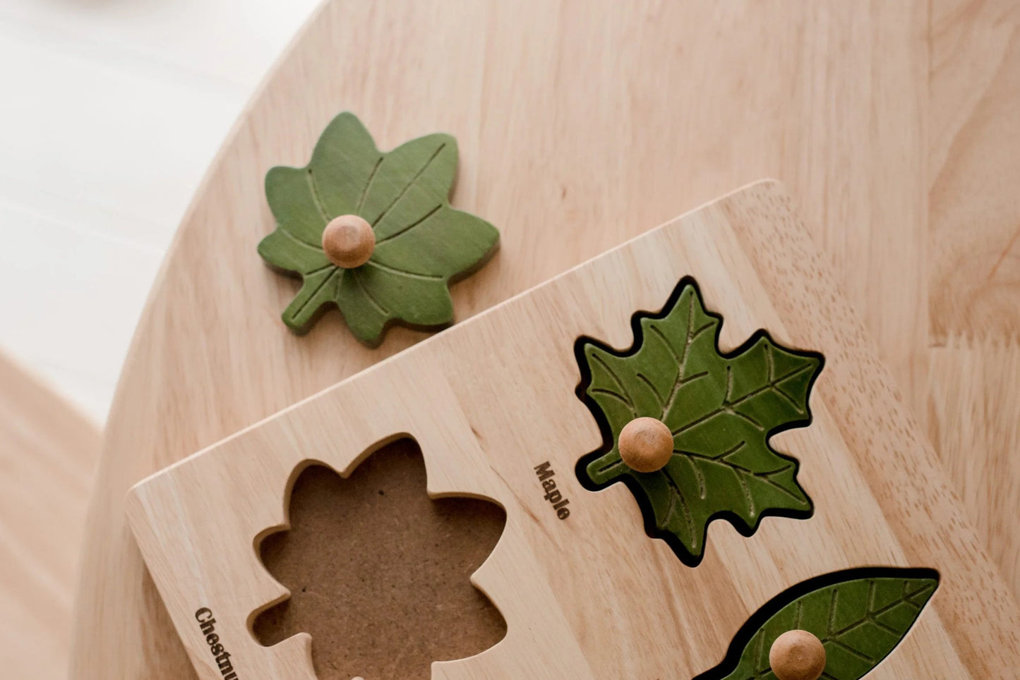 Montessori Leaf Puzzle