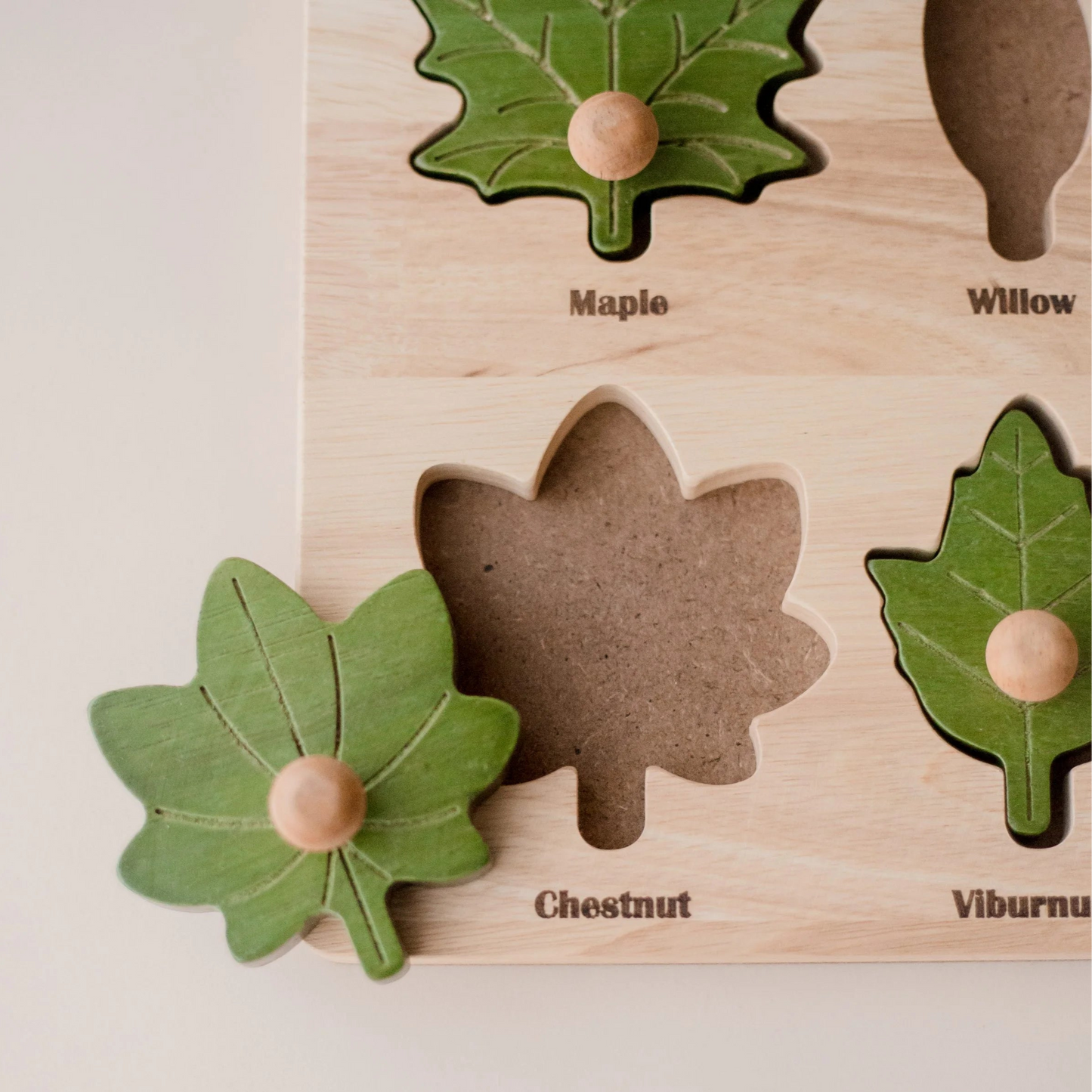 Montessori Leaf Puzzle