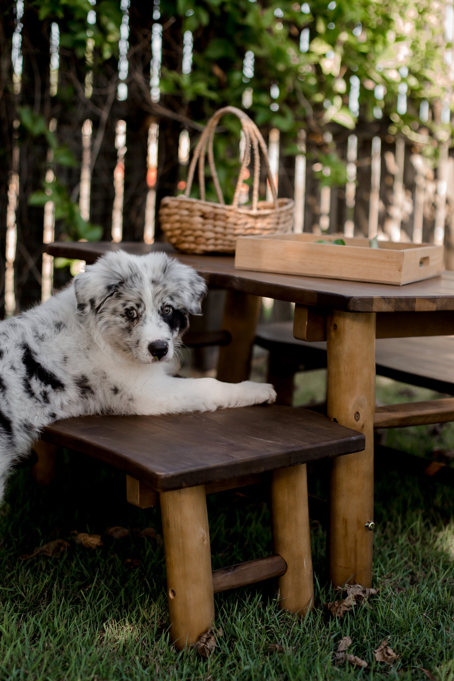 Woodland Table & Bench Set