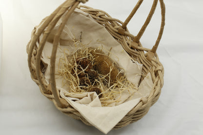 Nature’s Basket – Handwoven Cane Collection Basket