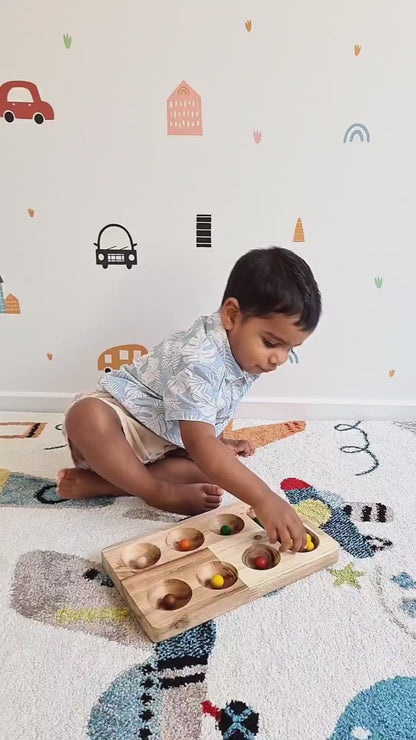 Montessori Sorting Tray