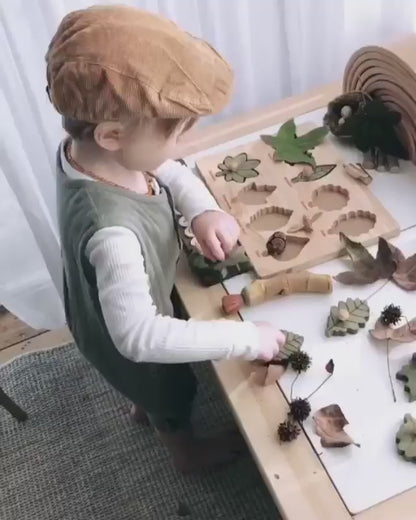 Montessori Leaf Puzzle