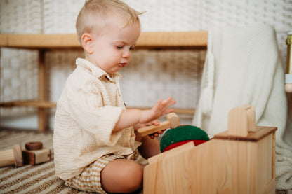 Timber Play Register